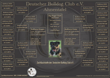 DBC Ahnentafel DBC Ahnentafel